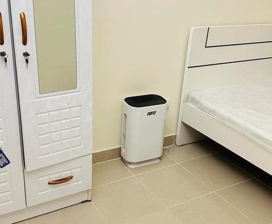 Bed Space & Partition in Al Quoz