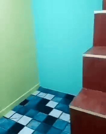 image_property