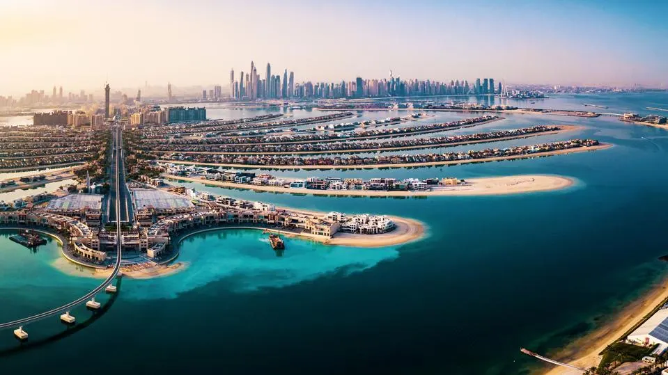 Discover Dubai's real estate pulse