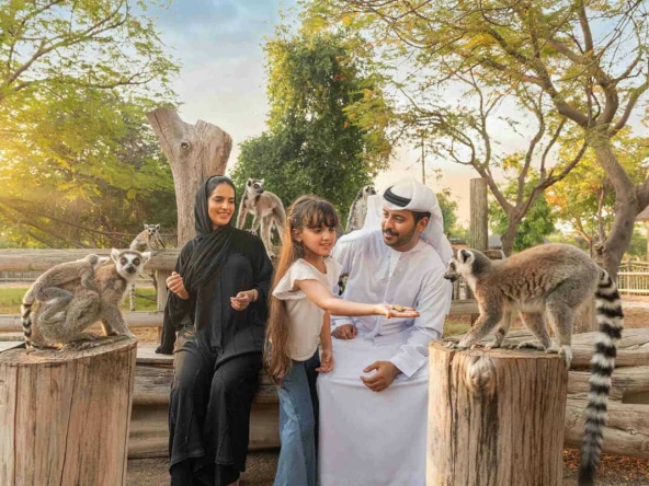 Everything You Need to Know About Dubai Safari Park in 2025