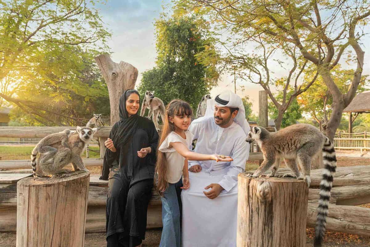 Everything You Need to Know About Dubai Safari Park in 2025