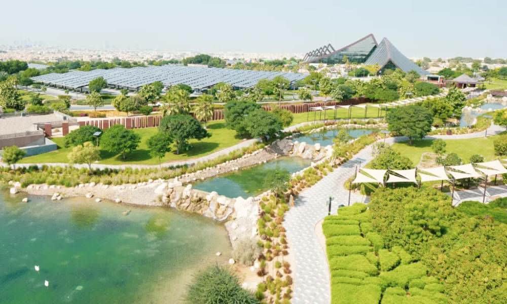 Everything You Need to Know About Dubai Safari Park in 20251
