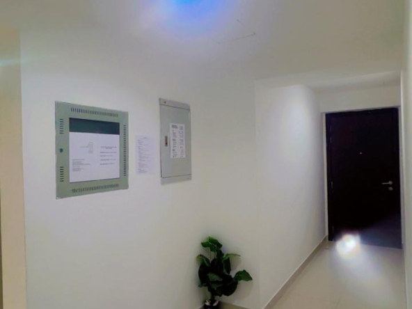 image_property
