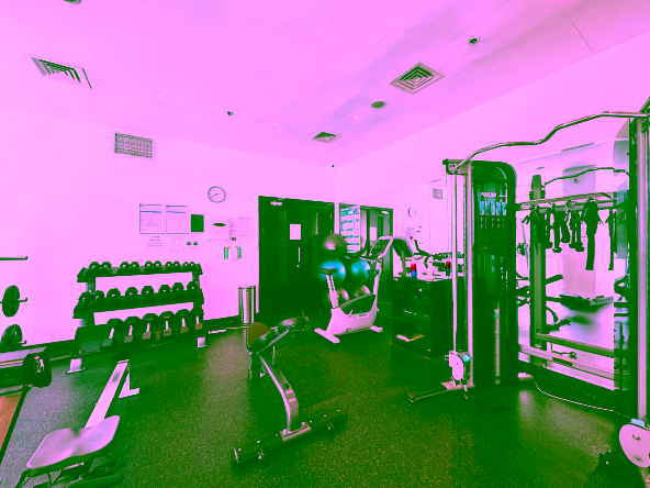 Room for Rent in Dubai Marina