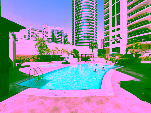 Room for Rent in Dubai Marina