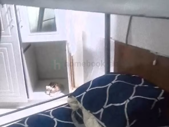 Ladies Bed Space for Rent in Dubai