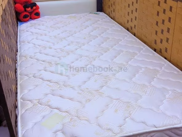 Bed Space for Rent in Jumeirah Village Circle (JVC) Dubai