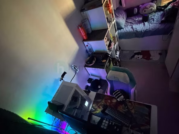 Bed Space for Rent in Discovery Gardens Dubai