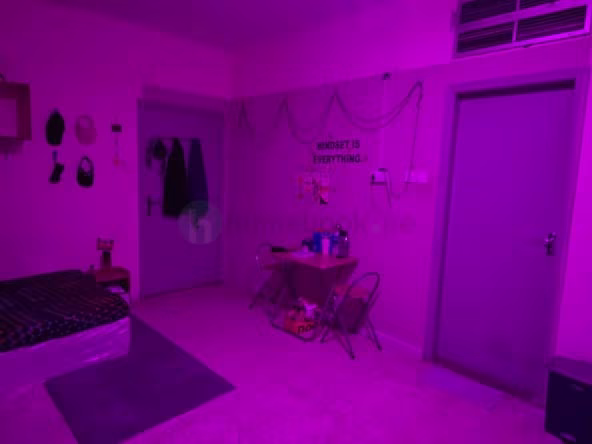 Room for Rent in Bur Dubai