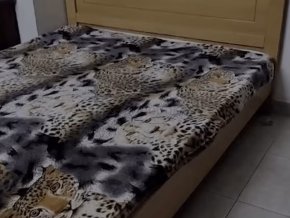 Room for Rent in International City