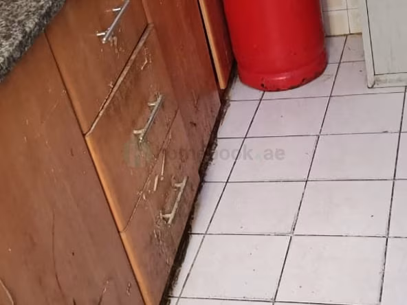 Bed Space & Partition in Al Fahidi