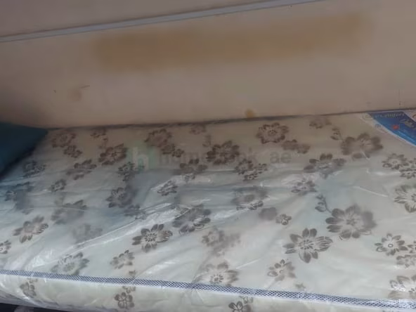 Bed Space & Partition in Deira