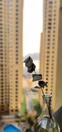 image_property
