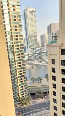 image_property