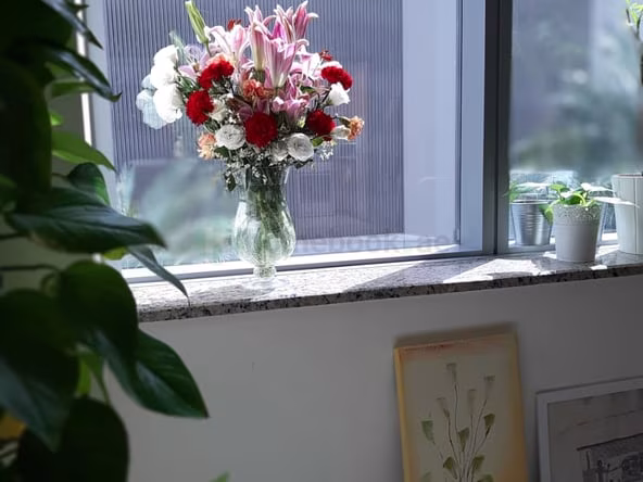 Room for Rent in Sheikh Zayed Road