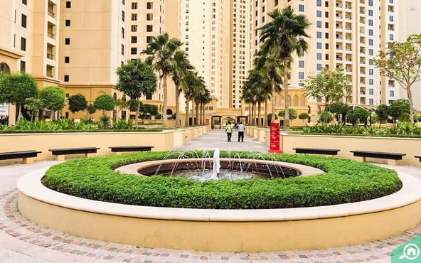 image_property