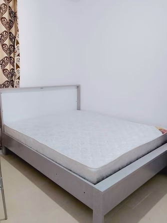 image_property