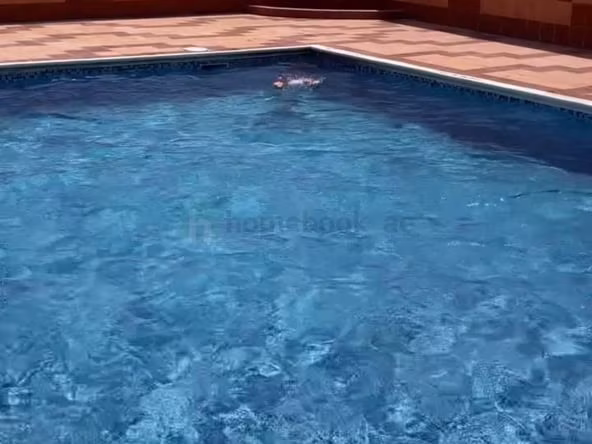 Room for Rent in International City
