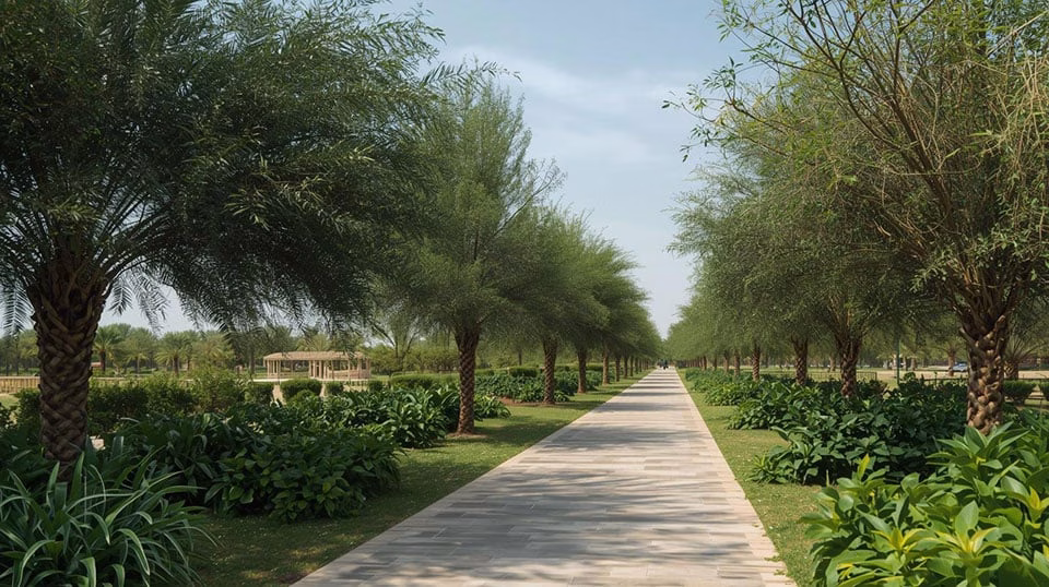 Abu Shagara Park Sharjah Your Ultimate Guide to Green Escape & Family Fun