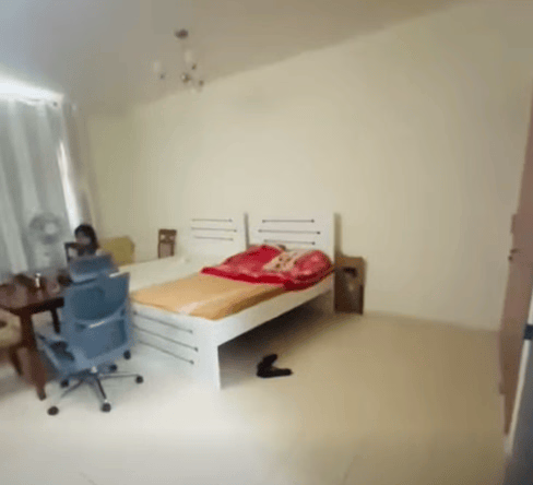 image_property