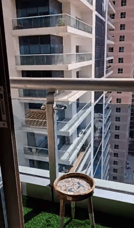image_property
