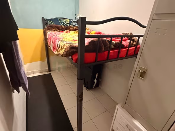 Bed Space & Partition in International City