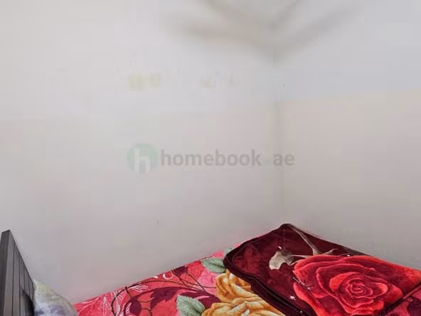 Bed Space & Partition in International City