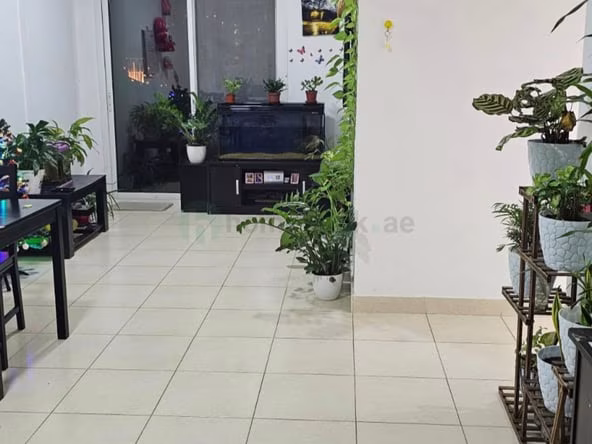 image_property