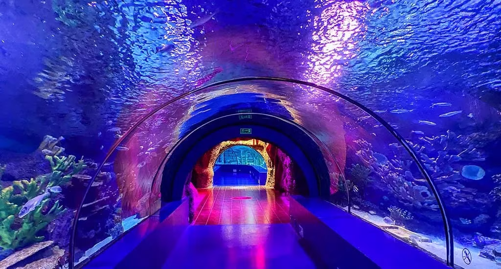 dubai aquarium underwater zoo