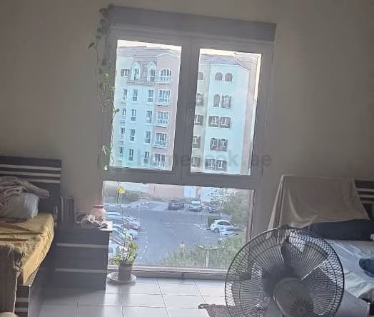 Bed Space for Rent in Discovery Gardens Dubai
