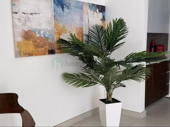 Studio Apartment for Rent in Al Barsha Dubai