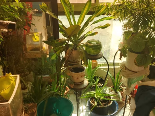 Bed Space for Rent in Deira Dubai