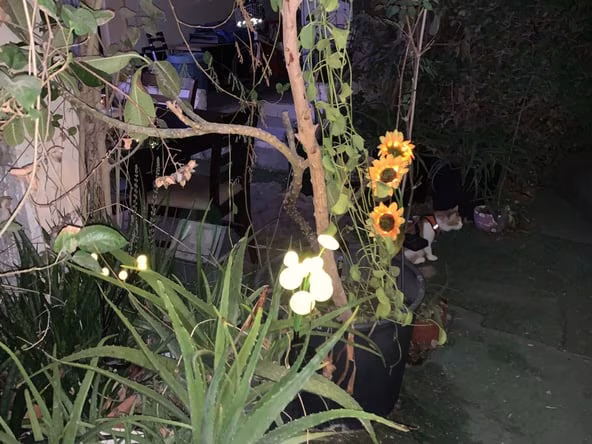 Studio Apartment for Rent in Al Nahda Dubai