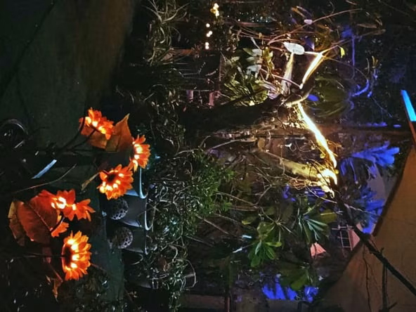 Studio Apartment for Rent in Al Nahda Dubai