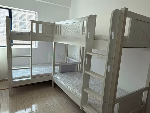Bed Space for Rent in Barsha Heights (TECOM) Dubai