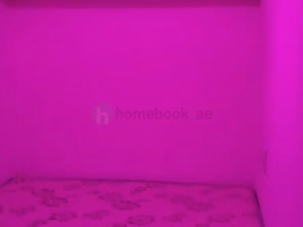 Bed Space for Rent in Deira Dubai