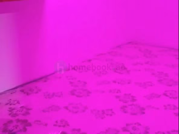 Bed Space for Rent in Deira Dubai